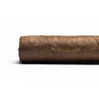 Arturo Fuente Rothschild Cigars - 1 Single